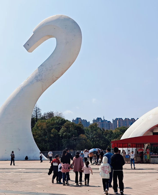 動物園隱藏玩法大賞