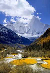 稻城亞丁秘境沖古草甸才是真正的世外桃源!