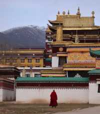 6日玩轉甘南等地保姆級攻略來啦