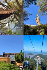 江浙滬普陀山太適合週末了!