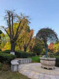 海寧錢江君廷酒店初體驗，愛了愛了