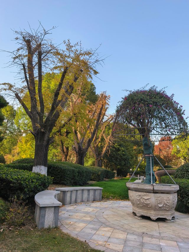 海寧錢江君廷酒店初體驗，愛了愛了