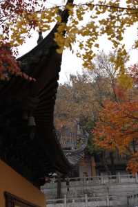 常熟小眾秘境！小雲棲寺的冬天真的美哭了！