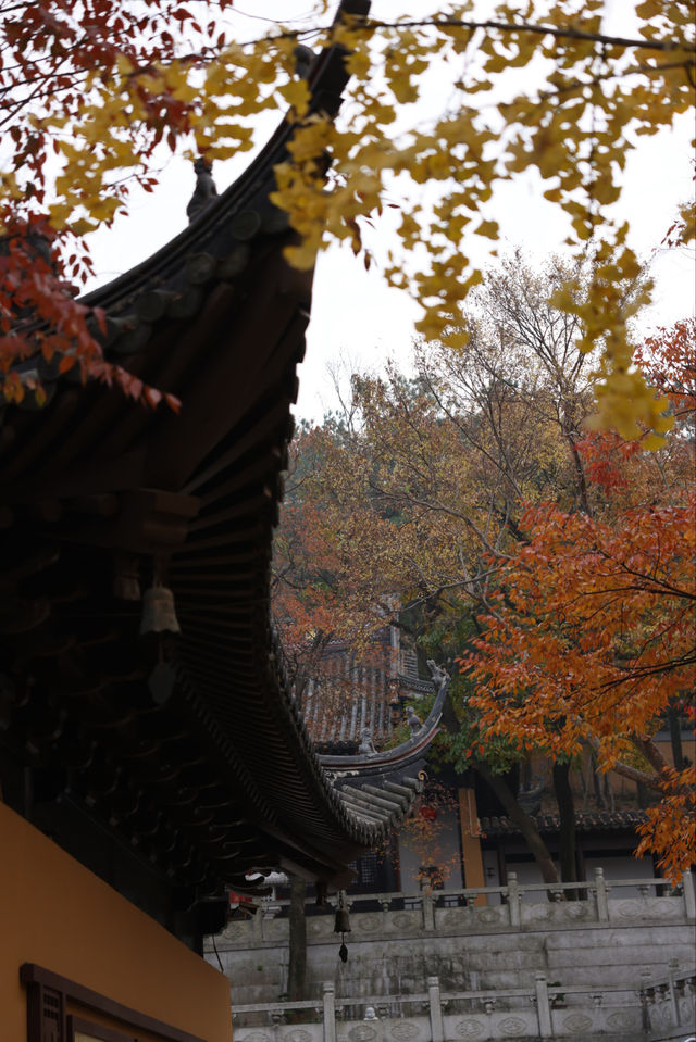 常熟小眾秘境！小雲棲寺的冬天真的美哭了！