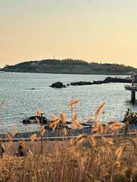 冬日青島的海有多治癒海風帶著故事吹向你~