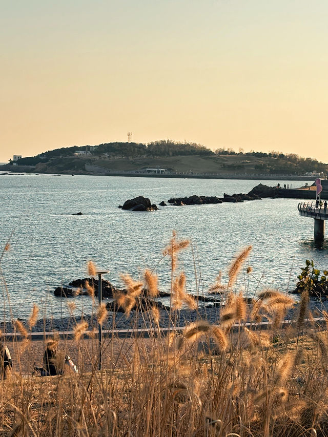冬日青島的海有多治癒海風帶著故事吹向你~ 冬日青島的海有多治癒海風帶著故事吹向你~