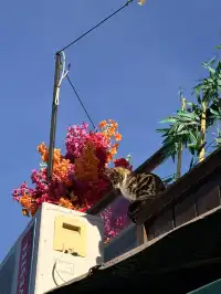 2025.11月的卡帕多奇亞|格雷梅