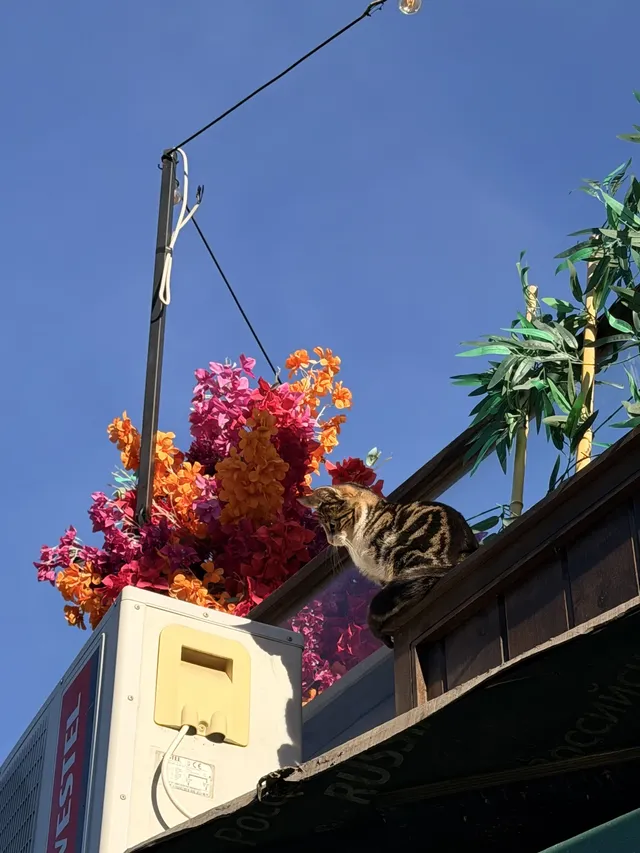 2025.11月的卡帕多奇亞|格雷梅 2025.11月的卡帕多奇亞|格雷梅