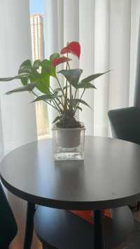 西北環線躺平首選希岸智享酒店太舒適啦