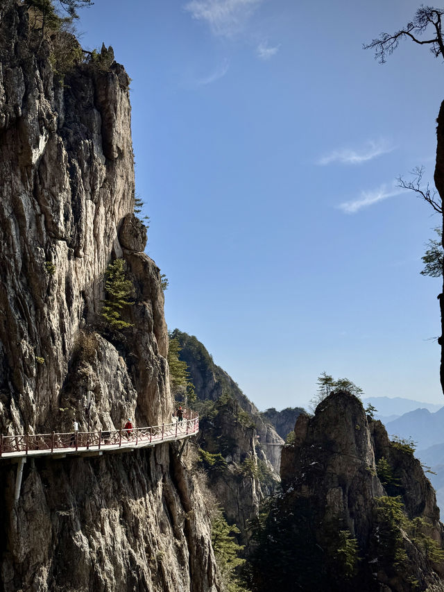 老君山懶人登山攻略 老君山懶人登山攻略