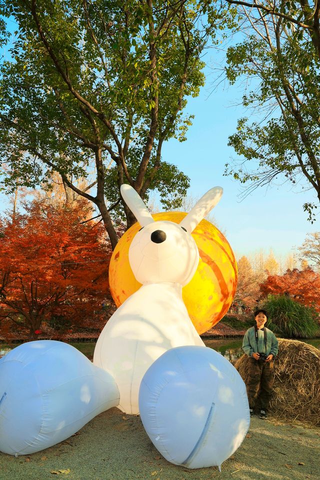 上海最大規模楓葉林濃度已達100%