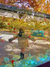 上海自駕1h賞秋紅透的楓葉真的美到封神