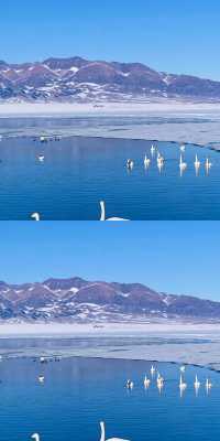 說真的!冬天的賽里木湖才是極致浪漫