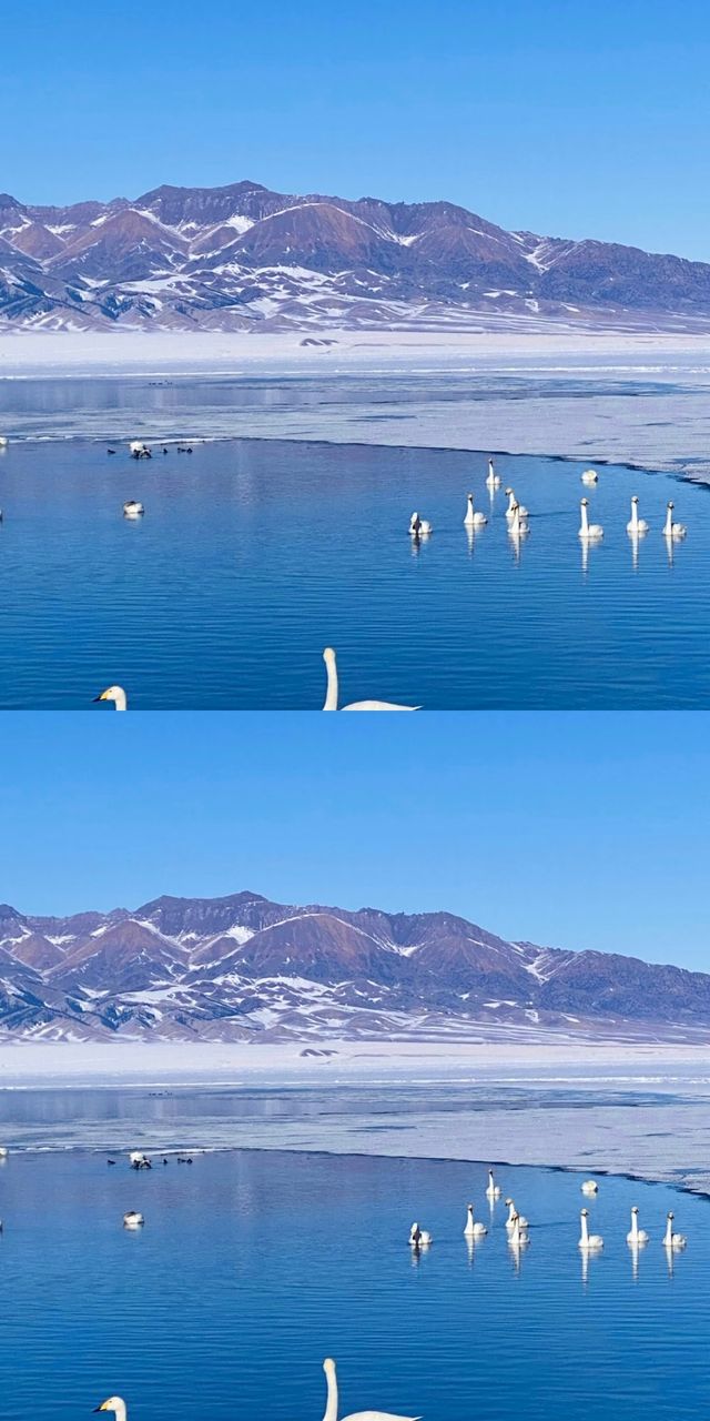 說真的!冬天的賽里木湖才是極致浪漫 說真的!冬天的賽里木湖才是極致浪漫