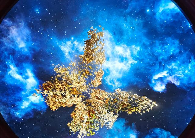 電影控必打卡！《捕風追影》澳門取景地·永利皇宮黃金發財樹攻略