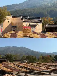 皖南賞秋|安徽四天三晚遊分享