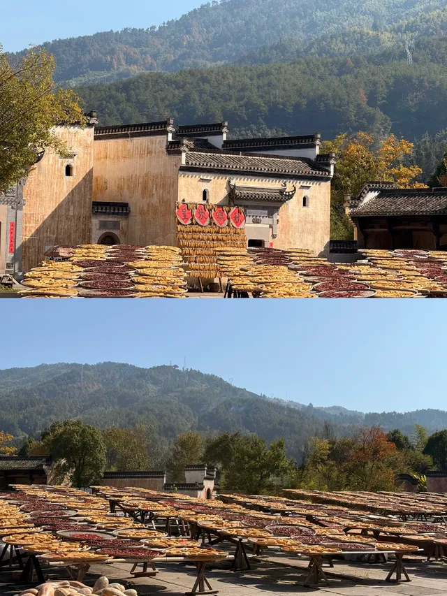 皖南賞秋|安徽四天三晚遊分享 皖南賞秋|安徽四天三晚遊分享