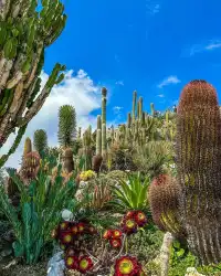 埃茲‖法國蔚藍海岸中世紀懸崖小鎮