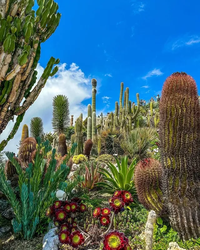 埃茲‖法國蔚藍海岸中世紀懸崖小鎮