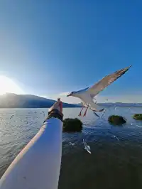 我在騰衝“騰騰震”,差點去了緬甸