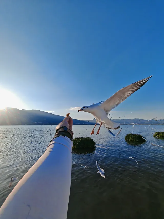 我在騰衝“騰騰震”,差點去了緬甸 我在騰衝“騰騰震”,差點去了緬甸