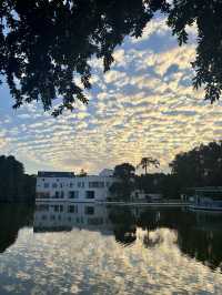 華南植物園拍照吸氧全攻略｜逃離城市計劃來啦