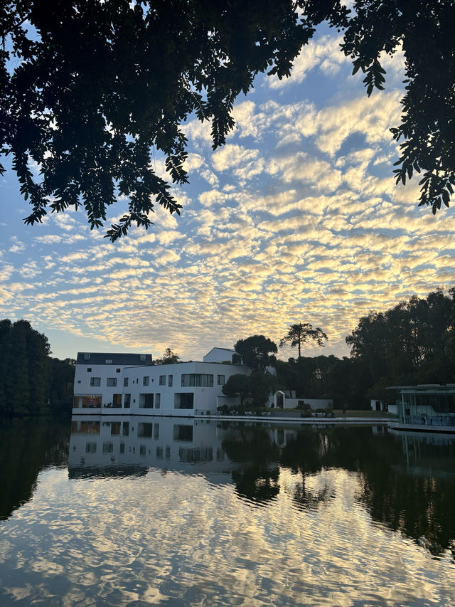 華南植物園拍照吸氧全攻略｜逃離城市計劃來啦