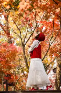 12·1南京棲霞山紅楓進入觀賞期～附路線～