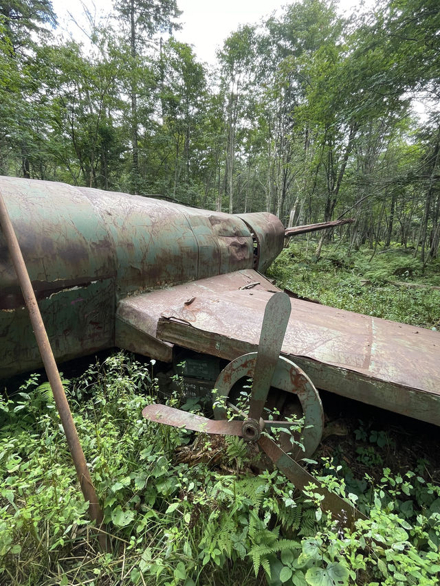 長白定制遊看完這篇攻略再決定