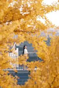 揚州蘇唱街|12月1日下午拍攝,這週得趕緊衝!