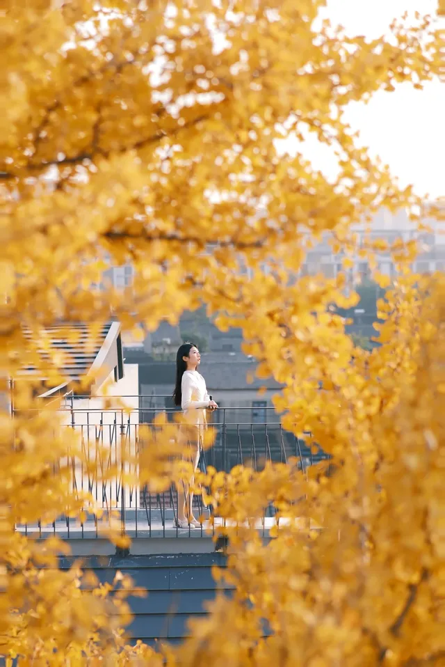 揚州蘇唱街|12月1日下午拍攝,這週得趕緊衝! 揚州蘇唱街|12月1日下午拍攝,這週得趕緊衝!