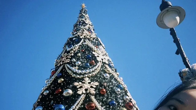 東迪海洋｜難忘！好玩！一日記錄