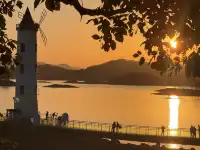 落葉倒數計時!千島湖落日金葉,衝就對了!