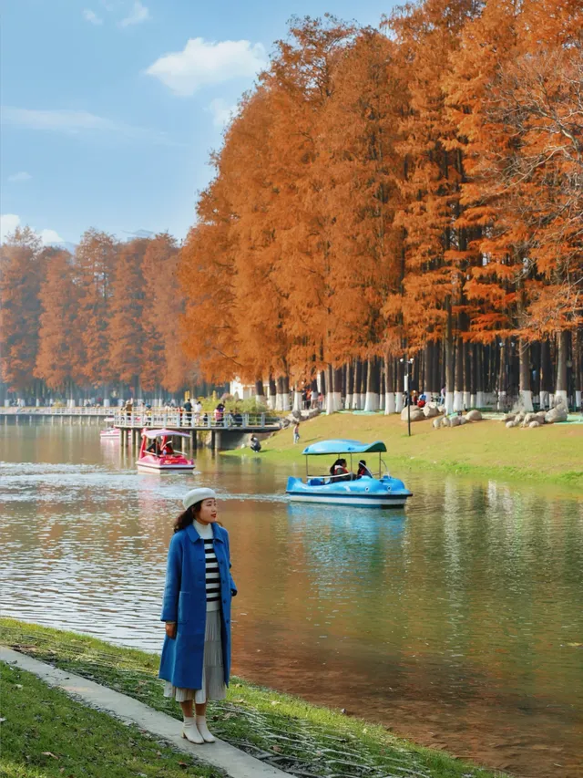 接下來的武漢，一定別錯過處絕美紅杉林