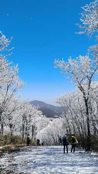 冰雪奇緣龍王山徒步踏, 雪賞霧淞