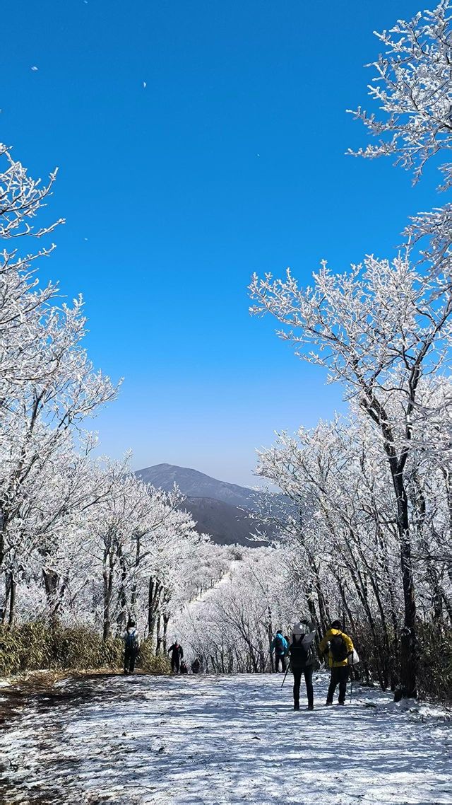 冰雪奇緣龍王山徒步踏, 雪賞霧淞 冰雪奇緣龍王山徒步踏, 雪賞霧淞