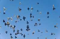 私藏大連海景攻略