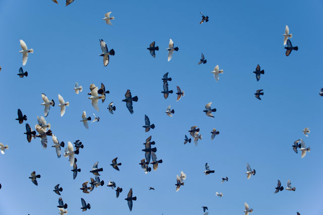 私藏大連海景攻略 私藏大連海景攻略
