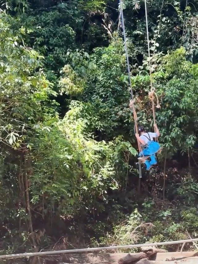 二次遊版納！一點都不累！小朋友說比迪士尼更好玩。