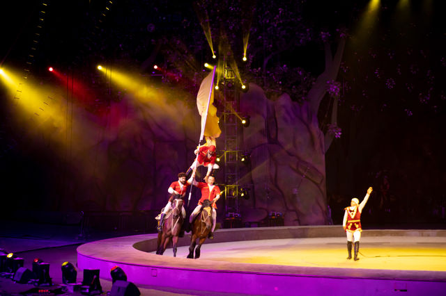 廈門冬暖｜靈玲動物園裡藏著雙倍浪漫