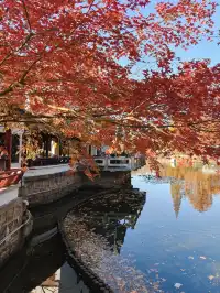 12.3魯迅公園秋日進度100％（附機位）