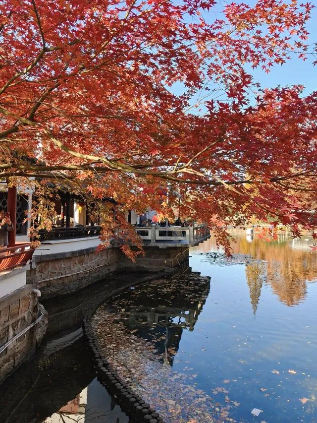 12.3魯迅公園秋日進度100％（附機位）