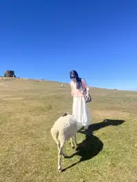 11.30郴州仰天湖大草原的草已黃,但也出片