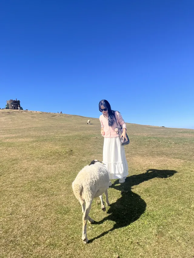 11.30郴州仰天湖大草原的草已黃,但也出片 11.30郴州仰天湖大草原的草已黃,但也出片