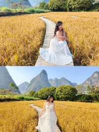 風吹麥浪 小紅書跟風最成功的一次好chill