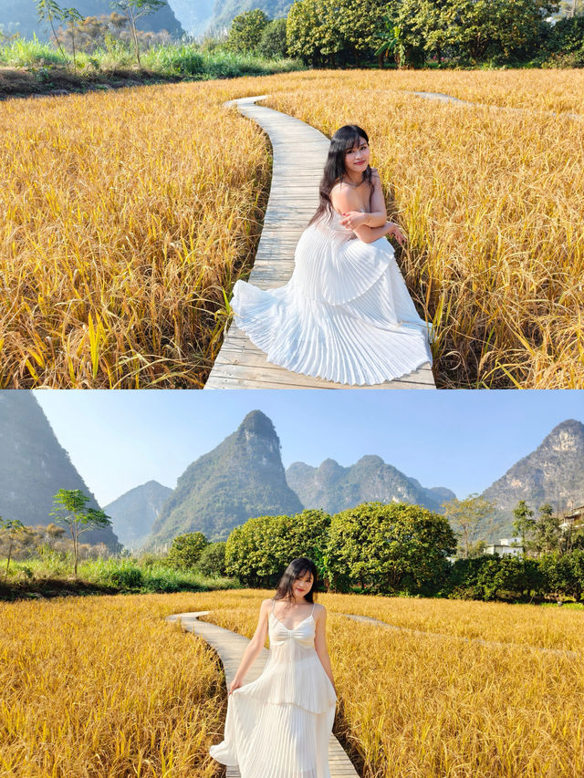 風吹麥浪 小紅書跟風最成功的一次好chill 風吹麥浪 小紅書跟風最成功的一次好chill