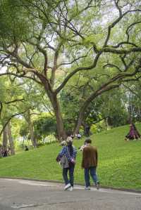 南寧綠野仙蹤的浪漫,來感受這裡的清新綠