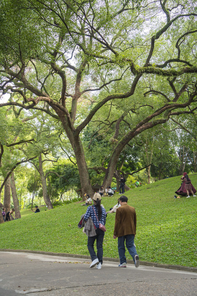 南寧綠野仙蹤的浪漫,來感受這裡的清新綠 南寧綠野仙蹤的浪漫,來感受這裡的清新綠