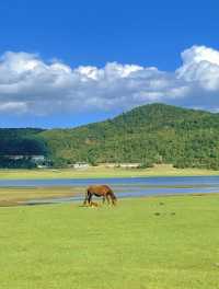 美得不像話雲南麗江也有自己的阿勒泰