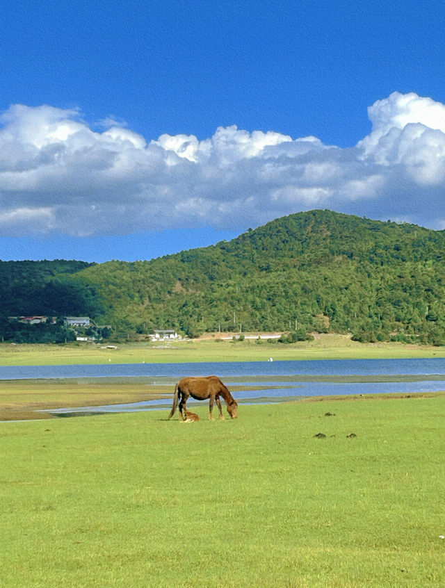 美得不像話雲南麗江也有自己的阿勒泰 美得不像話雲南麗江也有自己的阿勒泰